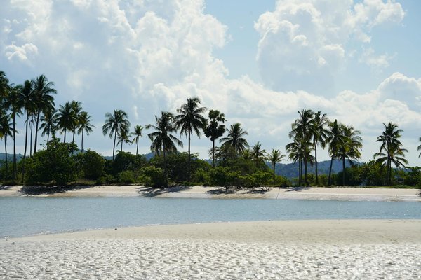 Où pratiquer le snorkeling au milieu des raies manta à Hawaii ?